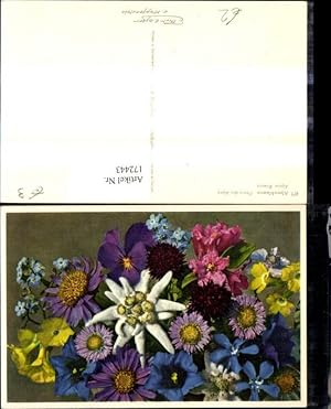 Bild des Verkufers fr 172443,Blumen Alpenblumen Alpenflora zum Verkauf von Versandhandel Lehenbauer