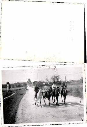 Image du vendeur pour WW2 German Soldiers Horses white Uniform General mis en vente par Versandhandel Lehenbauer