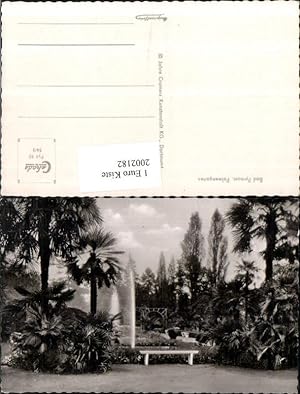 Bild des Verkufers fr 2002182,Bad Pyrmont Palmengarten Garten Partie Springbrunnen zum Verkauf von Versandhandel Lehenbauer
