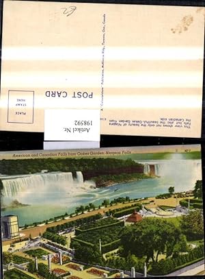 Seller image for 198592,Kanada Ontario Niagara Falls American and Canadian Falls from Oakes Garden for sale by Versandhandel Lehenbauer