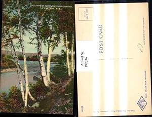 Seller image for 192036,New Hampshire White Mountains Rippling water and Silvery Birches Partie Birken for sale by Versandhandel Lehenbauer