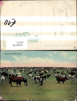 Immagine del venditore per 193751,Tier Bunch of Trail Cattle Rinder Khe Stiere venduto da Versandhandel Lehenbauer