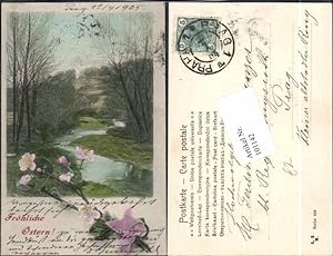 Bild des Verkufers fr 101142,Ostern Blumen Wald 1905 zum Verkauf von Versandhandel Lehenbauer