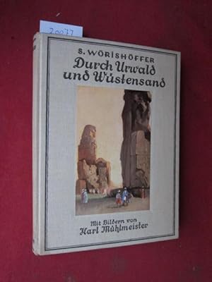 Bild des Verkufers fr Durch Urwald und Wstensand : Eine Erzhlung f. d. Jugend. Neu hrsg. u. zeitgem gekrzt von A. Flgel. Mit 5 bunten Bildern [Taf.] von Karl Mhlmeister. zum Verkauf von Versandantiquariat buch-im-speicher