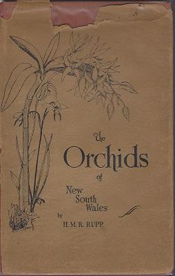 The Orchids of New South Wales