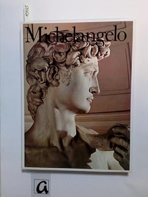 Seller image for Michelangelo. Leben und Werk in chronologischer Folge. for sale by AphorismA gGmbH