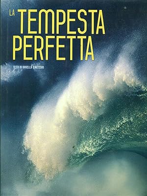 Seller image for La tempesta perfetta for sale by Librodifaccia