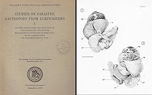 Studies on parasitic gastropods from echinoderms I: On the structure and biology of the parasitic...