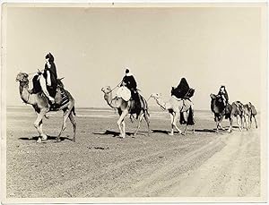 Superb Africa Sahara desert Bedouins Camels Vintage gelatin silver photo 1960c