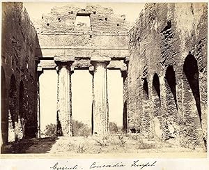 1343 Girgenti Concordia Temple Large vintage albumen photo 1860c George Sommer