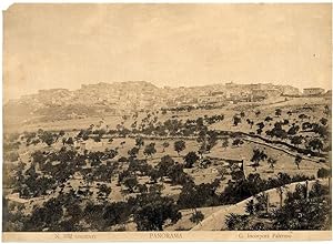 Agrigento Sicily Panorama of the town and olive trees Vintage photo 1880c L240