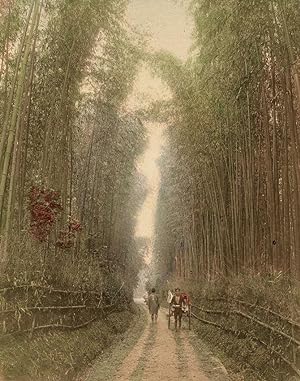 Japan Nikko road Vintage albumen photo Tamamura handcolored 1890c XL182