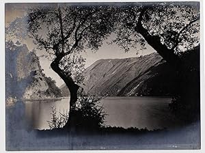 Original photo gelatin silver unmounted Italy/Switzerland Lugano Lake 1900c L401