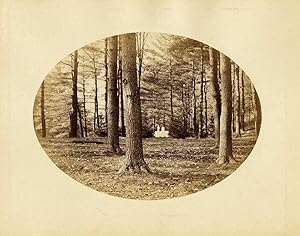 Photograph Warren American landscape Large oval vintage albumen 1860c signed on cardboard