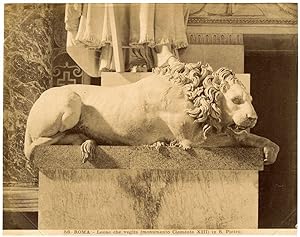 Rome F.lli D'Alessandri N. 56 Leone che veglia in S. Pietro Albumen photo 1870c