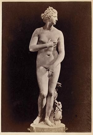 Rome Vatican Museum Statue of Venus Roma Small original albumen photo 1870c