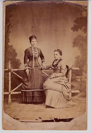 Cabinet Two elegant sisters Original albumen photo with inscription 1879 Vi1