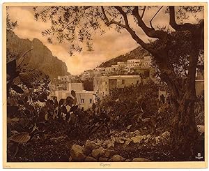 Capri Naples Panorama Large Heliogravure 1908 Lehnert & Landrock XL202