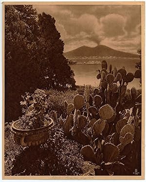 Naples Panorama Large Heliogravure or other process Lehnert & Landrock XL204