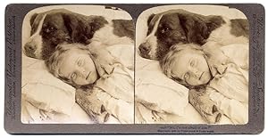 Stereo view I'm not afraid of him Little girl with big dog Underwood 1905 S978