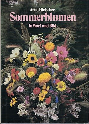 Seller image for Sommerblumen in Wort und Bild. for sale by Kirjat Literatur- & Dienstleistungsgesellschaft mbH