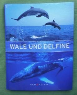 Bild des Verkufers fr Wale und Delfine. zum Verkauf von Versandantiquariat Sabine Varma