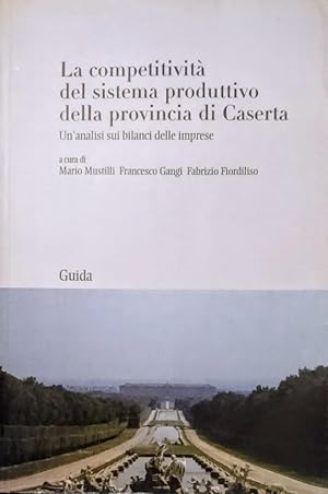 La competitività del sistema produttivo della provincia di Caserta. Un'analisi sui bilanci delle ...