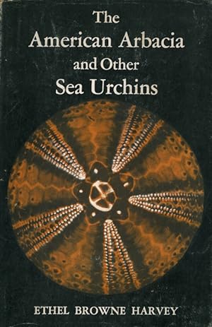 The American Arbacia and Other Sea Urchin