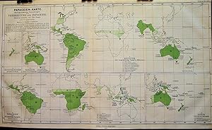 1867 Map of the Distribution of Parrots in the World. 5 Small Maps on One Page of Night Parrots, ...