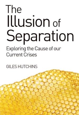 Imagen del vendedor de Illusion of Separation : Exploring the Cause of Our Current Crises a la venta por GreatBookPrices