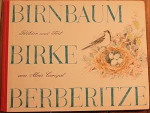 Birnbaum Birke Berberitze. Eine Geschichte aus den Bündner Bergen