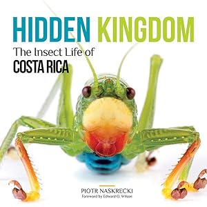 Bild des Verkufers fr Hidden kingdom: the insect life of Costa Rica. zum Verkauf von Andrew Isles Natural History Books