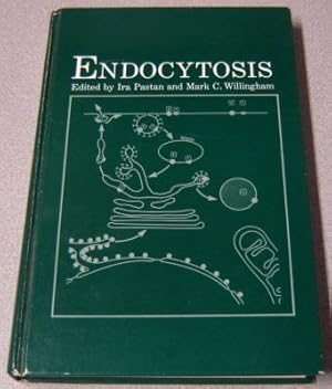 Endocytosis