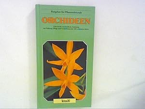 Orchideen