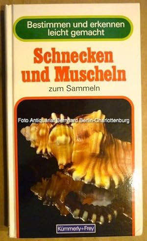Bild des Verkufers fr Schnecken und Muscheln zum Sammeln zum Verkauf von Antiquariat Bernhard