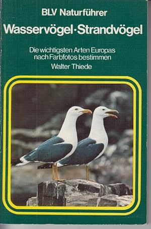 Seller image for Wasservogel, Strandvogel: die wichtigsten Arten Europas nach Farbfotos bestimmen for sale by Allguer Online Antiquariat