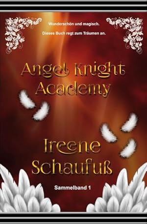 Bild des Verkufers fr Angel Knight Academy 1 - (Magical Girl) : Jugendbuch zum Verkauf von AHA-BUCH GmbH