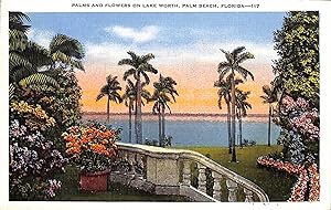 Palms And Flowers On Lake Worth, Palm Beach Post Card