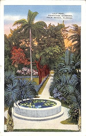 "Lily Pool, Poinciana Gardens, Palm Beach" Post Card