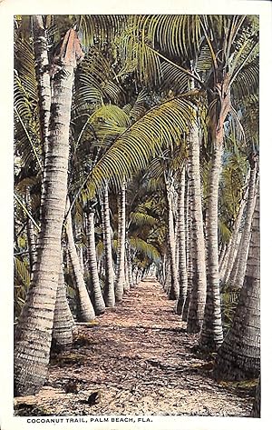 "Cocoanut Trail Palm Beach" Postcard