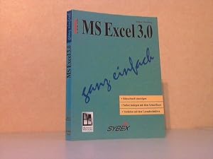 MS Excel 3.0 ganz einfach - Blitzschnell einsteigen. Sofort loslegen mit dem Schnellkurs. Vertief...