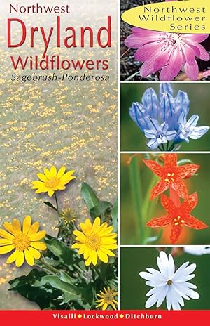 Seller image for Northwest Dryland Wildflowers Of the Sagebrush and Ponderosa for sale by David Hancock Books