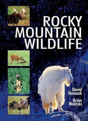 Seller image for Rocky Mountain Wildlife for sale by David Hancock Books