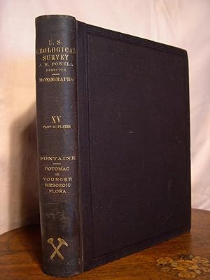 THE POTOMAC, OR YOUNGER MESOZOIC FLORA; MONOGRAPHS OF THE UNITED STATES GEOLOGICAL SURVEY, VOLUME...