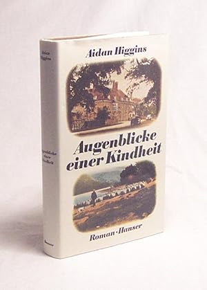 Bild des Verkufers fr Augenblicke einer Kindheit : Roman / Aidan Higgins. Aus d. Engl. von Martin Kluger zum Verkauf von Versandantiquariat Buchegger