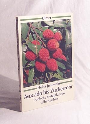 Imagen del vendedor de Avocado bis Zuckerrohr : trop. Nutzpflanzen selber ziehen / Heinz Jenuwein a la venta por Versandantiquariat Buchegger
