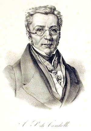 Bild des Verkufers fr Portrait. v. Augustin Pyramus de Candolle. (Botaniker) zum Verkauf von Harteveld Rare Books Ltd.
