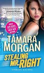 Stealing Mr. Right: A Penelope Blue Novel