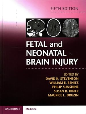 Immagine del venditore per Fetal and Neonatal Brain Injury venduto da GreatBookPrices