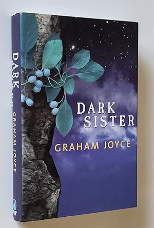 Seller image for Dark Sister for sale by Time Traveler Books